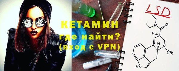 стаф Алзамай