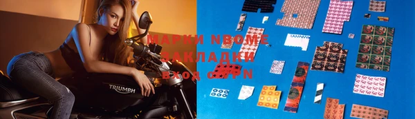 стаф Алзамай