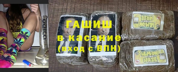 стаф Алзамай