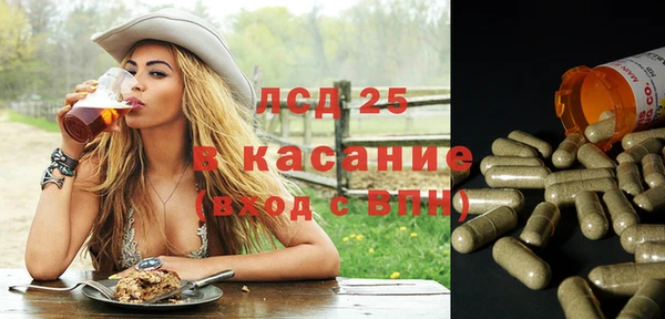 стаф Алзамай