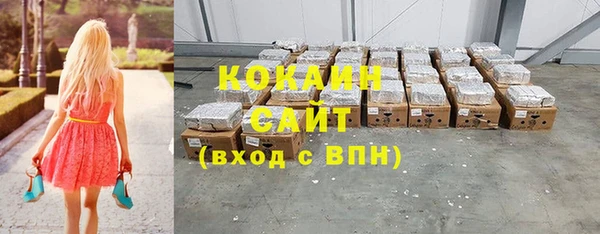 стаф Алзамай