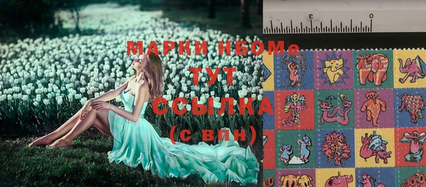 стаф Алзамай